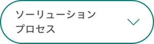 ソリューションプロセス