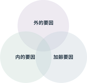 外的要因 内的要因 加齢要因