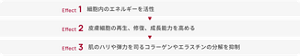 Effect 1 細胞内のエネルギーを活性 Effect 2 皮膚細胞の再生、修復、成長能力を高める Effect 3 肌のハリや弾力を司るコラーゲンやエラスチンの分解を抑制