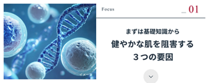 Focus 01 まずは基礎知識から 健やかな肌を阻害する３つの要因