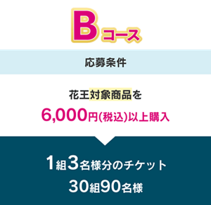 Bコース 応募条件 花王対象商品を6,000円(税込)以上購入 1組3名様分のチケット 30組90名様