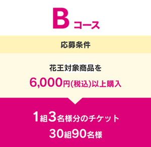 Bコース 応募条件 花王対象商品を6,000円(税込)以上購入 1組3名様分のチケット 30組90名様