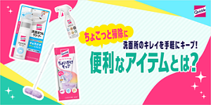 洗面所のキレイを手軽にキープ！ “ちょこっと掃除”に便利なアイテムとは？