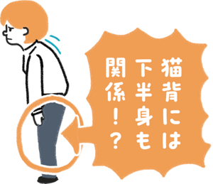 猫背には下半身も関係！？