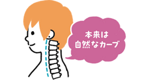 本来は自然なカーブ