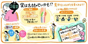 その猫背実は太もものせいかも！？意外なつながりを見てみよう！