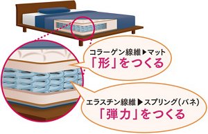 図：コラーゲン線維とエラスチン線維をベッドに例えたイメージイラスト