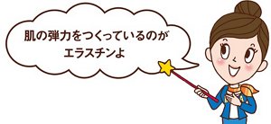 美ライフアドバイザー　ビビコさんからのコメント「肌の弾力をつくっているのがエラスチンよ」