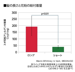 グラフ：髪の長さと花粉の総付着量の実験データ（2019年3～4月 花王調べ）　各ウイッグを栃木事業場屋上に6時間放置後、回収したほこりの中のスギアレルゲン量をELISA測定