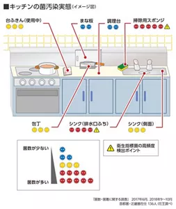 キッチンの菌汚染実態のイメージ図