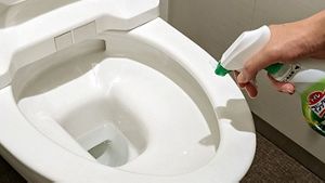 トイレ掃除のやり方！ニオイも黒ずみも、まるごとお掃除ガイド│花王 MyKao