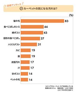 カーペット・布製ソファをさっぱり清潔に！拭き掃除で汚れを