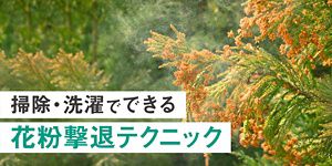 花粉撃退！舞い上げずに除去する掃除テクニック│花王 My Kao
