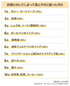 衣類についてしまって落とすのに困った汚れ　複数回答／上位10項目　2025年1月「My Kao くらしラボ」読者6,426人