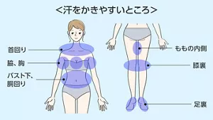 図：汗をかきやすいところ