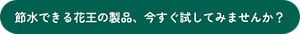 節水できる花王の製品、今すぐ試してみませんか？