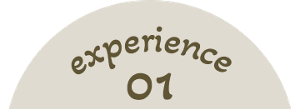 experience01