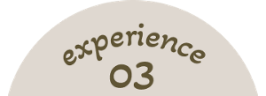 experience03