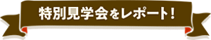 特別見学会をレポート！