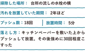 掃除した場所：台所の流しの水栓の横 汚れを放置していた期間：2年ほど プッシュ数：18回 放置時間：5分 落とし方：キッチンペーパーを敷いた上からプッシュして放置。その後強めに30回程度こすった