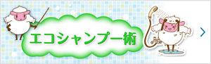 メリット　エコシャンプー術