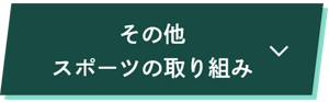 その他スポーツの取り組み