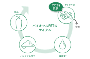 バイオマスPETのサイクル