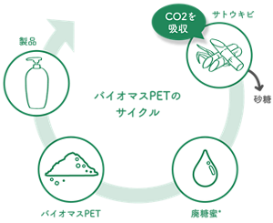 バイオマスPETのサイクル