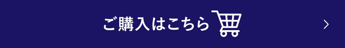 フィエスタ 洗顔 手洗いフォーム 業務用 ホテルアメニティブランド 花王プロフェッショナル ホテルアメニティ