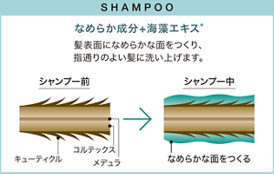 シャンプー なめらか成分+海藻エキス 髪表面になめらかな面をつくり、指通りのよい髪に洗い上げます。