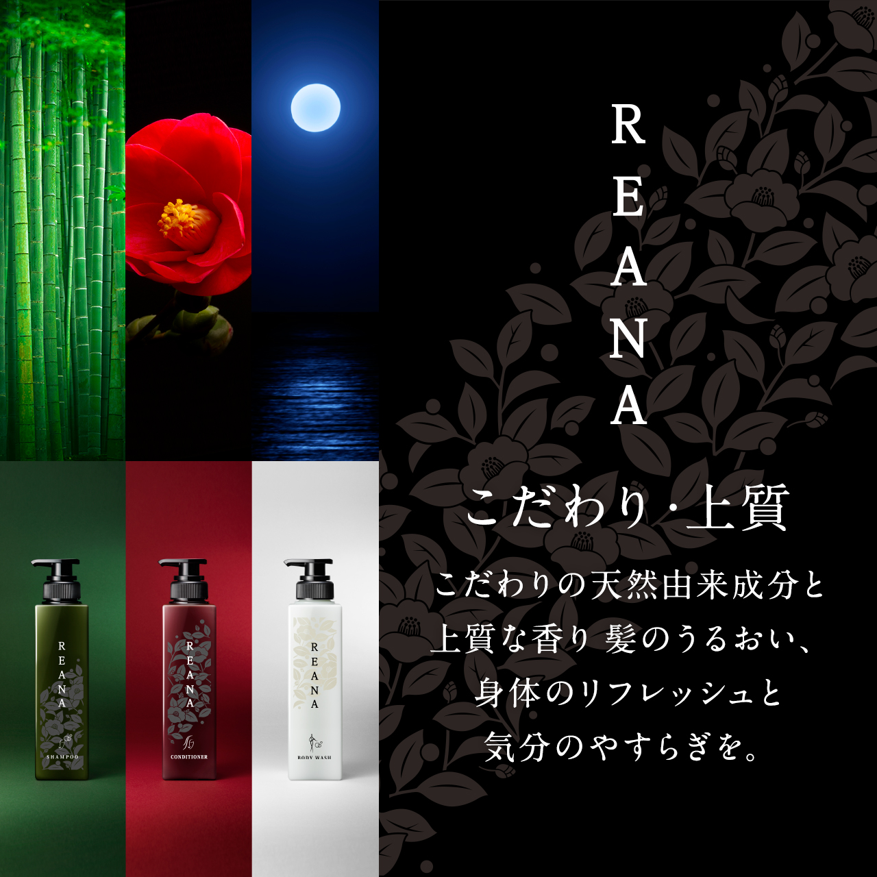 幻影 有効化 きしむ レアーナ シャンプー 口コミ 加害者 消化器 自己尊重