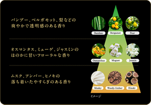 バンブー、ベルガモット、梨などの爽やかで透明感のある香り、オスマンタス、ミューゲ、ジャスミンのほのかに甘いフローラルな香り、ムスク、アンバー、ヒノキの落ち着いたやすらぎのある香りのイメージ