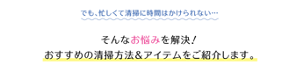 でも、忙しくて清掃に時間はかけられない… そんなお悩みを解決！ おすすめの清掃方法＆アイテムをご紹介します。