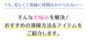 でも、忙しくて清掃に時間はかけられない… そんなお悩みを解決！ おすすめの清掃方法＆アイテムをご紹介します。