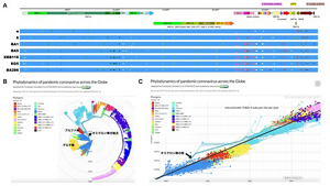 流行株のアミノ酸変異と流行の変遷、ゲノム進化速度を表すグラフ