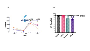 ファイザー社ワクチン3回目の接種後に誘導されるSARS-CoV-2のスパイクタンパク質に対する血中抗体価と3回目接種30日後の各種バリアントウイルスに対する中和抗体価を表すグラフ