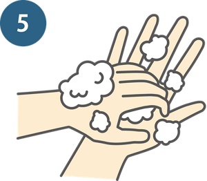 5：指先、爪先の内側を洗う