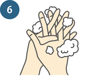 6：指の間・付け根を洗う