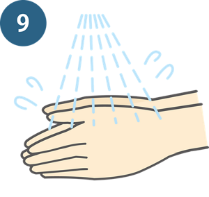 9：しっかりと流す（20秒）