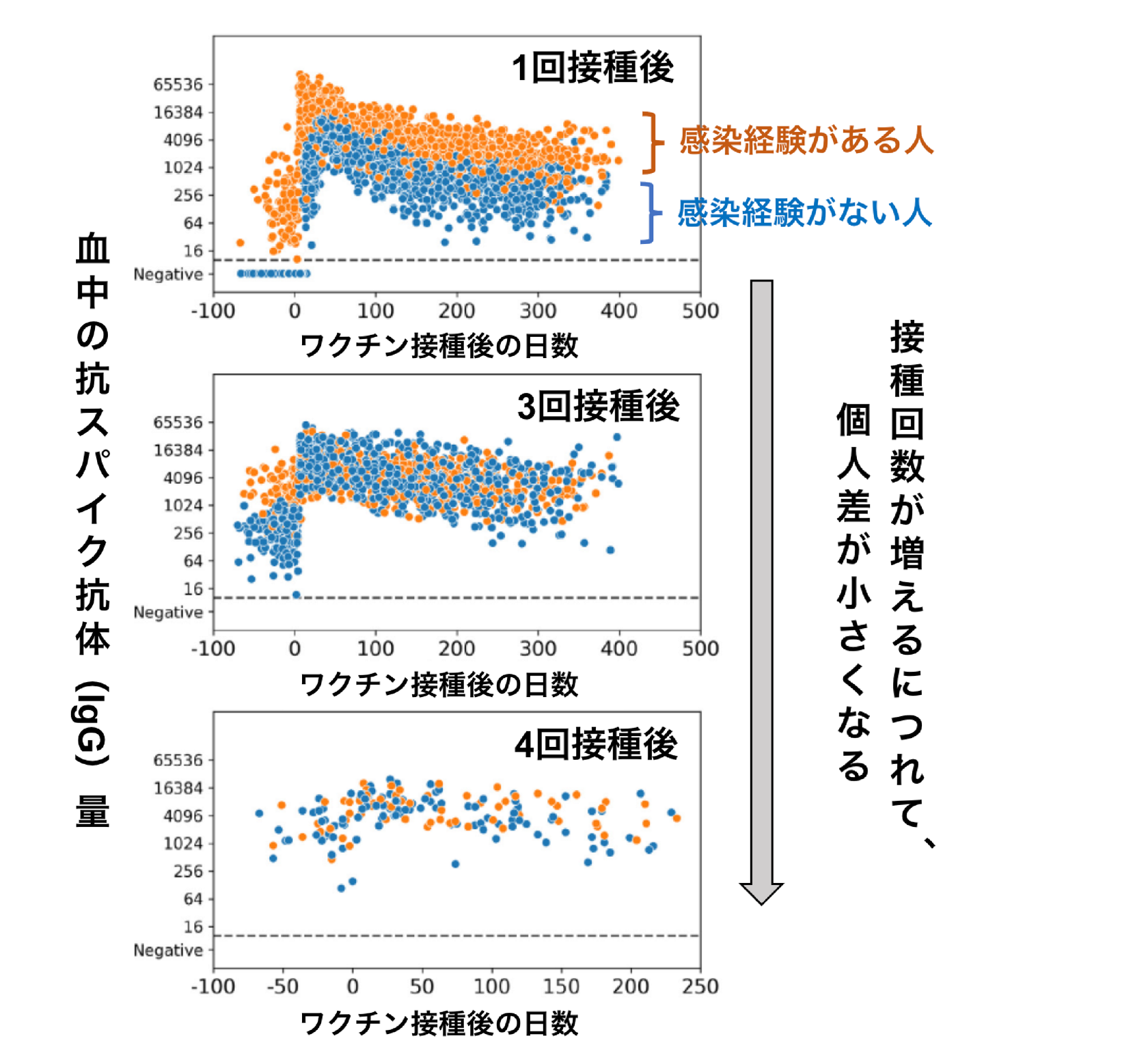 新型コロナウイルス感染症と免疫 －われわれはいったい何を学ん