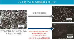 バイオフィルム除去のイメージ図。従来の洗浄技術に比べ、オレイン酸カリウム塩を含有し殺菌剤が未配合であるハンドソープによるバイオフィルム除去技術で、よりバイオフィルムが除去されていることがわかる。