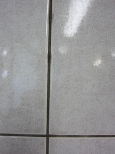 水のみで清掃を行った壁にはタイルの目地に黒カビ汚れが発生している事がわかる。