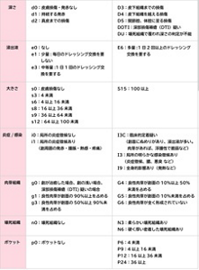 褥瘡の状態の評価を行うための表。