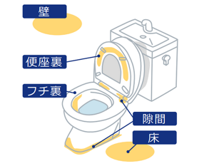 トイレニオイの元として、壁、便座裏、フチ裏、便座と便器の隙間、床などがある。