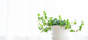 ENVIRONMENT 福利厚生/各種制度