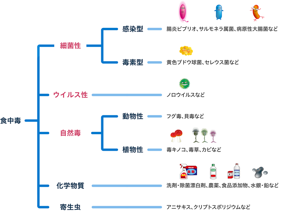 食中毒の分類 花王プロフェッショナル 衛生ナビ