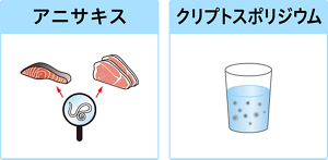 寄生虫を表したイラスト。アニサキス、クリプトスポリジウム。