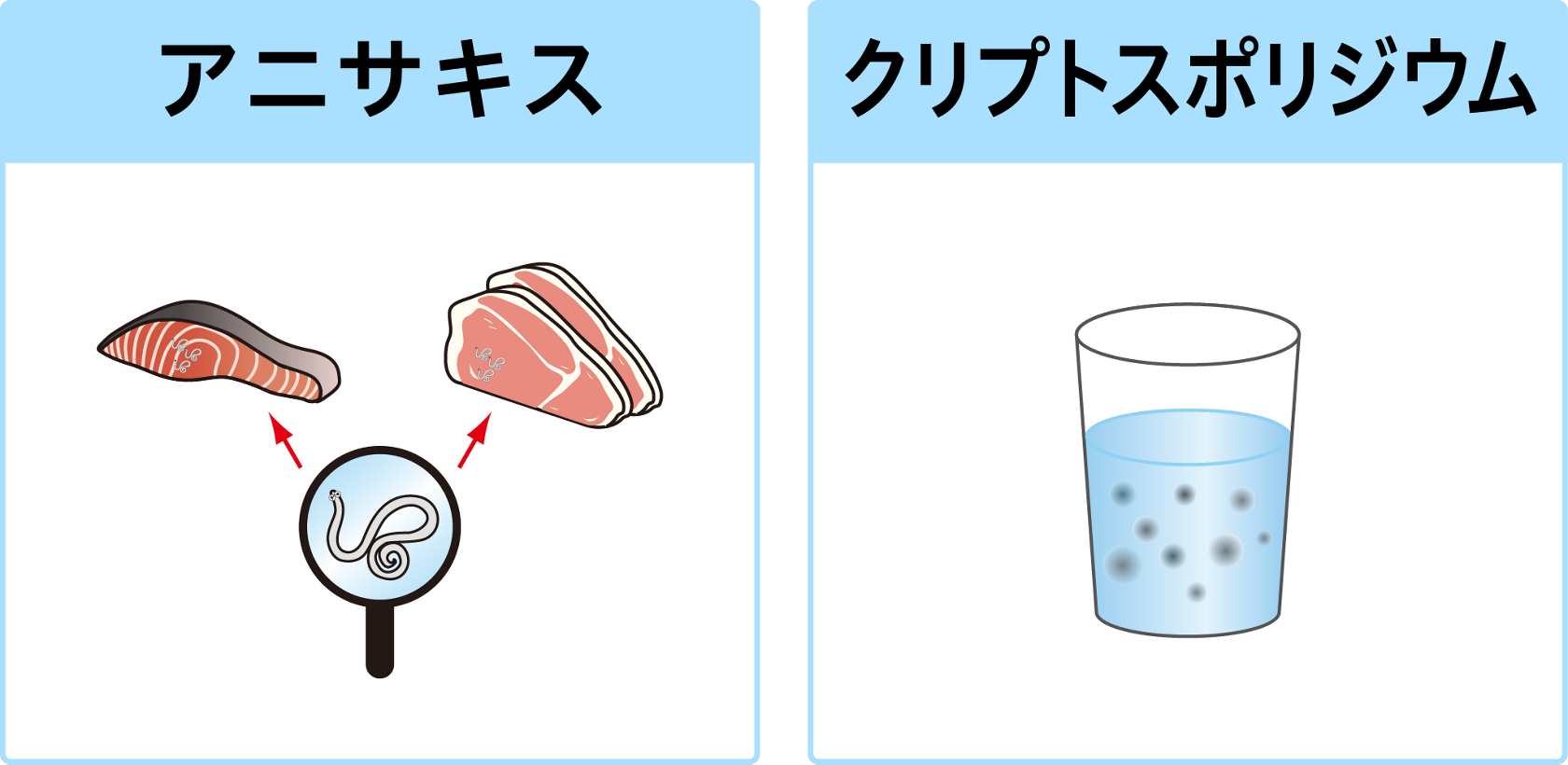 寄生虫による食中毒 花王プロフェッショナル 衛生ナビ