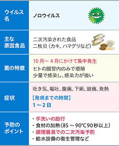 ウイルス性食中毒の表。 〈ノロウイルス〉 主な原因食品：二次汚染された食品二枚貝（カキ、ハマグリなど） 菌の特徴：10月～4月にかけて集中発生ヒトの腸管内のみで増殖少量で感染し、感染力が強い　 症状：吐き気、嘔吐、腹痛下痢、頭痛、発熱　発病までの時間：1～2日　 予防のポイント：・手洗いの励行・食材の加熱（85～90℃90秒以上）・調理器具での二次汚染予防・給水設備の衛生管理など