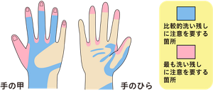 手洗いが不十分になりやすい箇所を表したイラスト。指先や指の間の洗い残しが起きやすい。